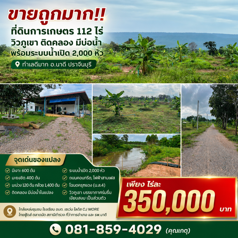 ขายถูกมาก!! ที่ดินการเกษตร 112 ไร่ วิวภูเขา ติดคลอง มีบ่อน้ำ พร้อมระบบน้ำเปิด 2,000 หัว ทำเลดีมาก อ.นาดี ปราจีนบุรีที่ดินการเกษตร 112 ไร่ (เจ้าของขายเอง)- มีเงาะ 600 ต้น- มะยงชิด 400 ต้น- มะม่วง 120 ต้น กล้วย 1,400 ต้น- ติดคลอง มีบ่อน้ำในแปลง- ระบบน้ำเปิด 2,000 หัว&nbsp;- ถนนคอนกรีต, ไฟฟ้าสามเฟส- โฉนดครุฑแดง (น.ส.4)- วิวภูเขา บรรยากาศร่มรื่น เงียบสงบ เป็นส่วนตัว- อยู่ใกล้แหล่งชุมชน เดินทางสะดวกส�