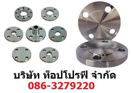 บริษัท ท็อป โปรฟี จำกัด ก่อตั้งขึ้นด้วยความมุ่งมั่นที่จะเป็นผู้นำเข้าสินค้าจากต่างประเทศ และ จัดหาสินค้าภายในประเทศ ที่มีคุณภาพ และราคาถูกเพื่อตรงตามความต้องการของลูกค้า เช่น ข้อต่อ (Fitting), หน้าแปลน (Flange), ท่อ (Pipe) ,วาล์ว (Valve) , Strainer , Sight Glass , Filter, Valves , Rotating Equipment และเหล็กโครงสร้าง โดยครอบคลุมธุรกิจทั้งทางด้านปิโตรเคมี กระดาษ ปูนซีเมนต์ โรงไฟฟ้า อิเล็กโทรนิค เหล็ก และอุตสาหกร
