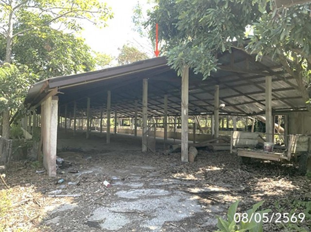 ขาย บ้านเดี่ยว/ทาวน์เฮ้าส์/คอนโด โกดัง เชียงราย  ถนน สายบ้านเวียงเดิม-บ้านไตรแก้ว ตำบล เวียงเหนือ อำเภอ เวียงชัย จังหวัด เชียงราย  ราคาโปรโมชั่น   4,425,000     บาท    ลดจาก   5,537,000   บาท ราคาโปรโมชั่นตั้งแต่วันที่ 1 กรกฎาคม 2569 – 30 กันยายน 2569  รายละเอียดทรัพย์ -  เนื้อที่ 10-0-23.00 ไร่  พื้นที่ใช้สอย 744 ตารางเมตร -  บ้านหันไปทางทิศ  พิกัดทรัพย์ : https://maps.app.goo.gl/tdvdBqi943KRMgZq7  สถานที่ใกล้เคียง   -วิทยาลัยเกษต�
