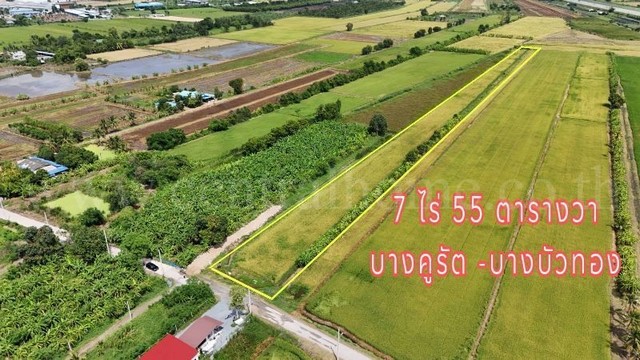 รหัสทรัพย์ : N0752ที่ดินเปล่า 7 ไร่ &nbsp;55 ตร.ว. บางคูรัด บางบัวทอง นนทบุรีที่ตั้ง :&nbsp;ตำบลบางคูรัด&nbsp;อำเภอบางบัวทอง&nbsp;จังหวัดนนทบุรี 11110รายละเอียดทรัพย์- ที่ดิน 7 ไร่ 55 ตารางวา&nbsp;- ด้านกว้างติดถนน 27.5 เมตร ลึก 529 เมตร ด้านหลังกว้าง 15.6 เมตร-&nbsp;ถนนคอนกรีตหน้าที่ดิน กว้าง 6 เมตร-&nbsp;ติดถนนทางสาธารณะ ห่างคลองประปาเพียง 350 เมตร- ใกล้แหล่ง ชุมชน, ตลาด, แหล่งท่องเที่ยว- หน้าที่ดินหันทิศตะวั