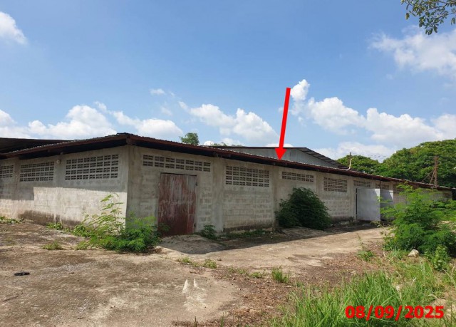 ขายโรงงาน ลำปาง ถนน บ้านป่ากล้วย ตำบล ปงแสนทอง อำเภอ เมืองลำปาง จังหวัด ลำปาง  ถนน บ้านป่ากล้วย ตำบล ปงแสนทอง อำเภอ เมืองลำปาง จังหวัด ลำปาง  ราคาโปรโมชั่น 12,390,000 บาท    ลดจาก 16,896,000 บาท ราคาโปรโมชั่นตั้งแต่วันที่ 1 กรกฎาคม 2569 – 30 กันยายน 2569  รายละเอียดทรัพย์ -  เนื้อที่ 6 ไร่ 2 งาน 37 ตารางวา  พื้นที่ใช้สอย 2,171 ตร.ม. -  บ้านหันไปทางทิศตะวันออกเฉียงใต้  พิกัดทรัพย์ : https://maps.app.goo.gl/Bkuv3YrbP4jS71QJ8  สถ�