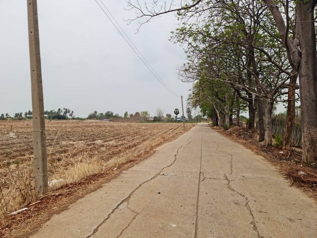 ที่ดินเมืองนครสวรรค์ ติดภูเขา ขายเช่า ต.พระนอน บรรยากาศดีทำเลสวยดินดีสมบูรณ์ ้หมาะลงทุนซื้อเก็บไว้ทุกทางขายที่ดินติดภูเขา โฉนด  ต.พระนอน อ.เมือง จ.นตรสวรรค์ 5ไร่เศษ ติดทางสาธารณะประโยชน์ เส้นทางคมนานคมเข้าออกสะดวก วิวทิวทัศน์สวยงามอย่างมาก ไร่ละ 290,000 บา  อยู่ระหว่างหุบเขา 2 ลูก ขนานกัน วิวสวยมาก  ดินดี อุดมสมบูรณ์ เพาะปลูกได้งาม  ใกล้แหล่งชุมชนและแหล่งท่อง�