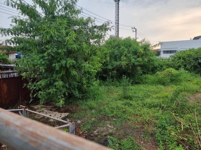 ขายที่ดินถมแล้ว 200 ตร.วา เลียบด่วน-เอกมัยรามอินทรา ซอยประดิษฐ์มนูธรรม 23ห่างจากถนนเพียง 100 เมตร เหมาะสร้างบ้าน ออฟฟิศ โกดังติดต่อ : ญาณิดา(ตุ้ม ) 089-9918326 Line : 0899918326เนื้อที่ 200 ตร.วา หน้ากว้าง 25 เมตร ลึก 25 เมตรพื้นที่สีเหลือง ที่ดินถมแล้ว ห่างจากถนนเลียบด่วนเพียง 100 เมตรเหมาะสร้างบ้าน ออฟฟิศ โกดังราคาขาย : 60,000,000 บาท (ตร.วาละ 300,000)ที่ตั้ง : ถนนประดิษฐ์มนูธรรม 23 แขวงนวมินทร์ เขตบึงกุ่