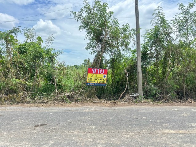 ขายที่ดิน ซอยคลองหกตะวันออก 72 เนื้อที่  2 ไร่กว้าง 50 เมตร ลึก 64 เมตรที่ตั้ง : ซอยคลองหกตะวันออก 72 ตำบลคลองหก อำเภอคลองหลวง จังหวัดปทุมธานี สถานที่ใกล้เคียงถนนธัญบุรี-วังน้อยวัดว่านบุญวัดพลาหารขาย 4,700,000 บาทสนใจติดต่อ086-3558842 ยุ้ย088-0123084 หนุ่มรับฝาก-ขาย บ้านที่ดิน อสังหาริมทรัพย์ทุกประเภทบริษัท เซียน พร๊อพเพอร์ตี้ จำกัด
