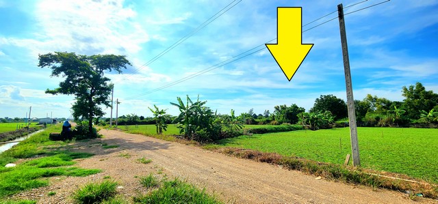 ขายที่ดิน คลอง 12 หนองเสือ 200ตรว*** ขายราคา 750,000 บาท *** ( มีเนื้อที่ 200 ) ขายที่ดิน คลอง 12 หนองเสือ 200 ตรว ติดถนน 8 ม. เหมาะปลูกบ้านสวน ทำเกษตรพอเพียงได้  อยู่ใกล้แหล่งชุมชนที่ตั้ง:  ( เรียบคลอง12 หนองเสือฝั่งตะวันออก )  ตำบล หนองสามวัง อำเภอ หนองเสือ ปทุมธานี 12110ขายที่ดิน คลอง 12 หนองเสือ  200 ตรว  ลักษณะที่ดิน: ที่ดินเป็นพื้นที่สีชมพู - ในซอยมีไฟฟ้า-น้ำประปา- อยู่ใกล้ร้านค้า ใกล้แหล่ง�