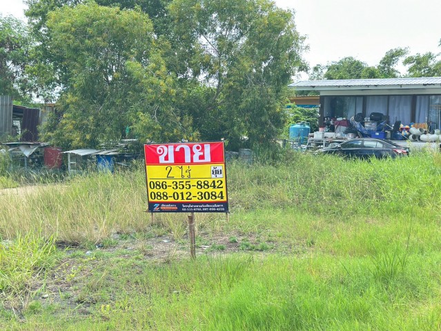 ขายที่ดิน ถนนเจตน์วิจิตร อำเภอบางบ่อเนื้อที่ 2 ไร่กว้าง 70 เมตรลึก 46 เมตรที่ตั้ง:  ถนนเจตน์วิจิตร ตำบลบ้านระกาศ อำเภอบางบ่อ จังหวัดสมุทรปราการสถานที่ใกล้เคียงแหล่งช้อปปิ้งและสิ่งอำนวยความสะดวก* CJ MORE สาขาเอื้ออาทรบางบ่อ:* J&T Express สาขาบางบ่อ:* สะพานบางบ่อ: ร้านอาหารและคาเฟ่ยอดนิยม* ร้านเย็นตาโฟต้องเบิ้ล:* เจ๊มิ้งโคตรยำ บางบ่อ:* ร้านบ้านเนื้อตุ๋น:* Roazt community coffee people: วัดและ�