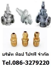 บริษัท ท็อป โปรฟี จำกัด ก่อตั้งขึ้นด้วยความมุ่งมั่นที่จะเป็นผู้นำเข้าสินค้าจากต่างประเทศ และ จัดหาสินค้าภายในประเทศ ที่มีคุณภาพ และราคาถูกเพื่อตรงตามความต้องการของลูกค้า เช่น ข้อต่อ (Fitting), หน้าแปลน (Flange), ท่อ (Pipe) ,วาล์ว (Valve) , Strainer , Sight Glass , Filter, Valves , Rotating Equipment และเหล็กโครงสร้าง โดยครอบคลุมธุรกิจทั้งทางด้านปิโตรเคมี กระดาษ ปูนซีเมนต์ โรงไฟฟ้า อิเล็กโทรนิค เหล็ก และอุตสาหกร