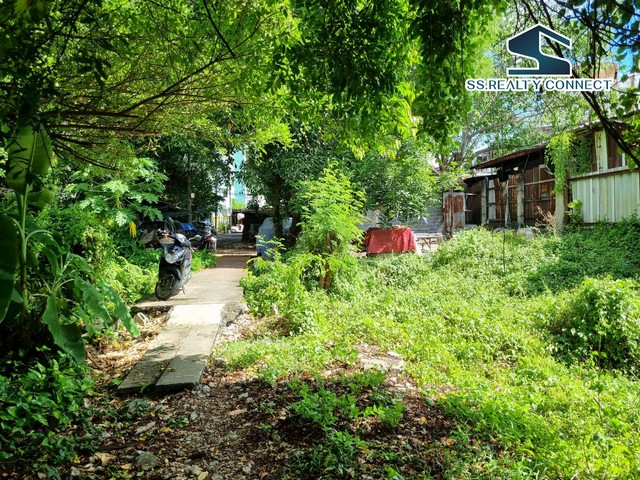 ขายที่ดินถนนสุขุมวิท ย่านปรีดีพนมยงค์ 348 ตร.ว. คลองตันเหนือ วัฒนาเนื้อที่ : 348 ตร.ว.ที่ตั้ง : ซอยปรีดีพนมยงค์ 48 ถนนสุขุมวิท 71 แขวงคลองตันเหนือ เขตวัฒนา กรุงเทพฯ 10110ผัง : ส้ม ย.7-16ถนน : คอนกรีต สาธารณะประโยชน์ ด้านหลัง : คลองคลองตัน ที่ดิน ถมบางส่วน เหมาะสร้างบ้าน หอพัก อพาร์ทเม้นท์ สำนักงานสามารถเข้าออกได้ทั้งซอยปรีดีพนมยงค์ 42, 46 และ 48 ยังสามารถเชื่อมต่อถนนเมนได้หลากหลา