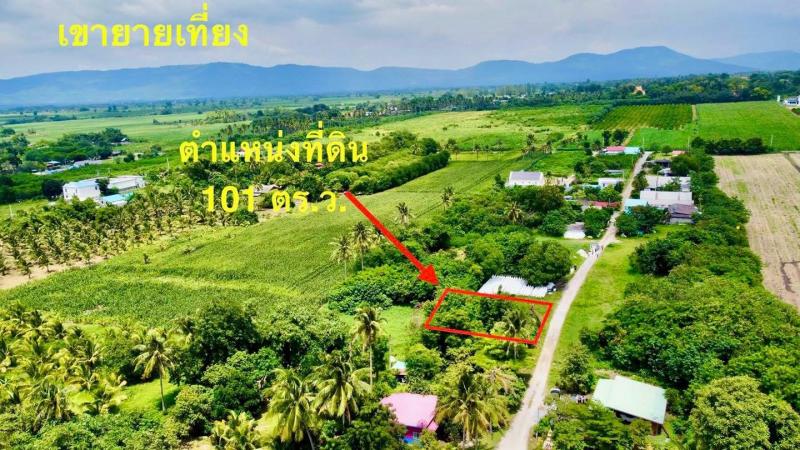 ที่ดิน ปากช่อง เขาใหญ่  101 ตร.ว. ( 3 แสน) น.ส4จขายที่ดินราคาถูก  101 ตร.ว. ทำเลดี บรรยากาศดี   อากาศดี หน้ากว้าง 18 มี. ลึก 22 ม. ติดทางสาธารณะ 2 ด้าน  ใกล้เขาใหญ่ เห็นทิวเขายายเที่ยง เหมาะสำหรับท่านที่มองหาที่ดินแปลงเล็กๆ ทำบ้านพักตากอากาศ     หรือทำพูลวิลล่าให้เช่า   การเดินทางสะดวกสบาย ใกล้แหล่งท่องเที่ยว      พิกัดตำแหน่ง -  ใกล้ Graffix Pool Villa Khaoyai -ตำบล วังไทร-อำเภอ ปากช่อง  -จังหวัด นครร�