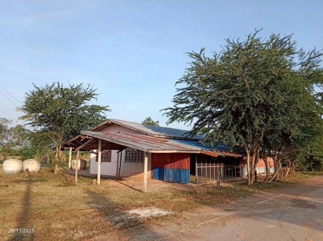 ขายบ้านเดี่ยว ชัยภูมิ ถนน สายบ้านสระแต้ - บ้านหนองผักหลอด ตำบล บ้านดอน อำเภอ ภูเขียว จังหวัด ชัยภูมิ  ถนน สายบ้านสระแต้ - บ้านหนองผักหลอด ตำบล บ้านดอน อำเภอ ภูเขียว จังหวัด ชัยภูมิ  ราคาโปรโมชั่น 6,821,000 บาท    ลดจาก 9,432,000 บาท ราคาโปรโมชั่นตั้งแต่วันที่ 1 กรกฎาคม 2569 – 30 กันยายน 2569  รายละเอียดทรัพย์ -  เนื้อที่ 8000 ตร.ว. พื้นที่ใช้สอย 294.50 ตร.ม. -  2 ห้องนอน 1 ห้องน้ำ  -  1 ที่จอดรถ  -  บ้านหันไ�