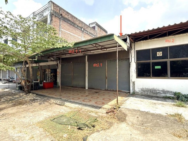 ขายบ้านเดี่ยว ชัยภูมิ  ถนน ราษฎร์บรรจบ ตำบล ผักปัง อำเภอ ภูเขียว จังหวัด ชัยภูมิ  ถนน ราษฎร์บรรจบ ตำบล ผักปัง อำเภอ ภูเขียว จังหวัด ชัยภูมิ  ราคาโปรโมชั่น 1,845,000 บาท    ลดจาก 2,549,000 บาท ราคาโปรโมชั่นตั้งแต่วันที่ 1 กรกฎาคม 2569 – 30 กันยายน 2569  รายละเอียดทรัพย์ -  เนื้อที่ 108 ตร.ว.  พื้นที่ใช้สอย 128 ตร.ม. -  2 ห้องนอน 1 ห้องน้ำ  -  1 ที่จอดรถ  -  บ้านหันไปทางทิศตะวันออกเฉียงเหนือ  พิกัดทรัพย์ : http