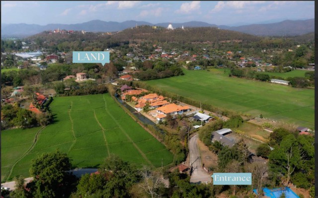 ราคาลดพิเศษ 8.9 ล้านบาท ขายที่ดินทำเลสงบ #ดอยสะเก็ด–#เชิงดอย ที่ดินแปลงสวย มีต้นฉำฉาใหญ่ บรรยากาศร่มรื่น #ใกล้วัดพระธาตุดอยสะเก็ดรายละเอียดที่ดิน- ทำเล: ต.เชิงดอย อ.ดอยสะเก็ด จ.เชียงใหม่- เนื้อที่ 2 ไร่ 3 งาน 47 ตารางวา- รวม 1,147 ตารางวา- มีต้นฉำฉาขนาดใหญ่ ให้ร่มเงาและบรรยากาศเป็นธรรมชาติ- ตั้งอยู่ในโครงการที่มีรีสอร์ตหลายหลัง- ทำเลเงียบสงบ เหมาะสำหรับพักผ่อนและลงท