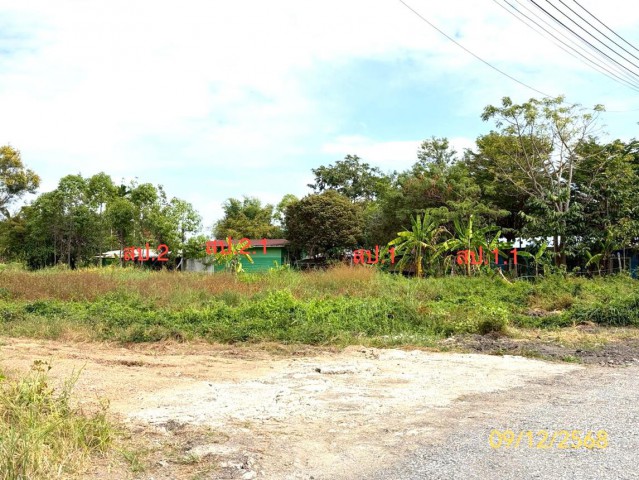 ขายบ้านเดี่ยวปทุมธานี โครงการ กนกกุล อำเภอหนองเสือ  ซอย ภายในโครงการ ถนน เลียบคลอง 14 ฝั่งตะวันตก ตำบล หนองสามวัง อำเภอ หนองเสือ จังหวัด ปทุมธานี  ราคา  2,264,000   บาท  ( ราคาต่อรองได้ )  รายละเอียดทรัพย์ -  เนื้อที่ 300.00 ตร.ว.   พื้นที่ใช้สอย 110.00 ตร.ม. -  1 ห้องน้ำ   -  บ้านหันไปทางทิศ  ใต้  พิกัดทรัพย์ : https://maps.app.goo.gl/XX8jiqxzg1ZjxBxd8  สถานที่ใกล้เคียง   - มหาวิทยาลัยการกีฬาแห่งชาติ วิทยาเขตกรุงเทพ - มหา�