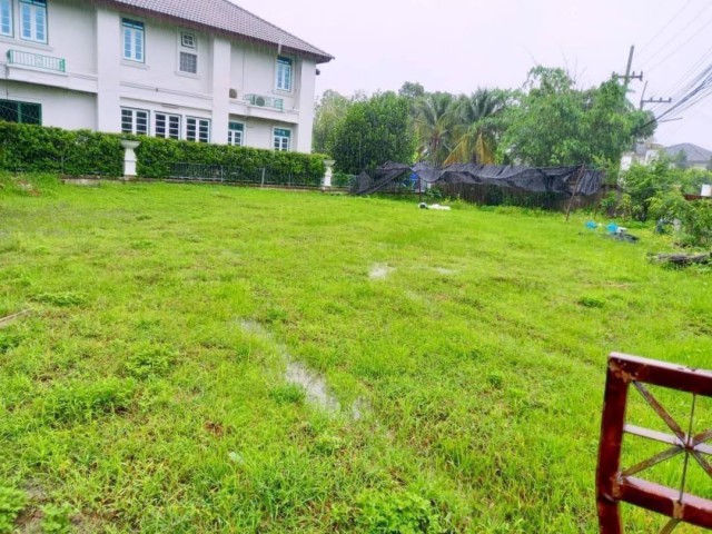 ขายที่ดิน 2.999 ล้านบาท ในโครงการชัยพฤกษ์ Land & Houses เชียงใหม่–แม่โจ้ | ที่ดินแปลงสวย ติดลำน้ำด้านข้าง บรรยากาศร่มรื่น ในโครงการคุณภาพเนื้อที่ 111 ตารางวาราคาเพียง 2,999,000 บาทที่ดินปลอดภาระ พร้อมโอนกรรมสิทธิ์ค่าใช้จ่ายในการโอนคนละครึ่งจุดเด่นของที่ดิน- แปลงสวย ด้านข้างติดลำน้ำ เพิ่มความร่มรื่นและเป็นส่วนตัว- ตั้งอยู่ในโครงการคุณภาพ Land & Houses- ระบบรักษาความปลอดภัย 2 ช